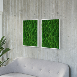 Mosbillede i Pudemos