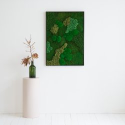 Mosbilleder 70x100 cm i sort ramme 