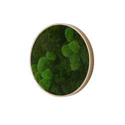 Mos cirkel med egetrsramme i Mix 006 – hndlavet mosbillede i naturlige grnne nuancer.