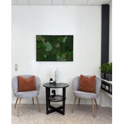 Mosbillede i mosmix 013