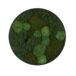 Mosbilleder i mox 007