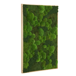 Mosbillede i Mosmix 007 