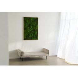 Mosbilleder med eg rammer 