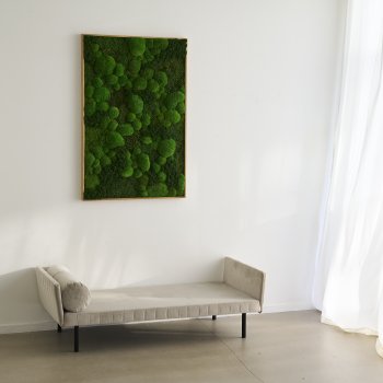 Mosbilleder med eg rammer 