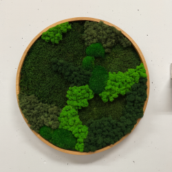 Mosbillede i mosmix 013