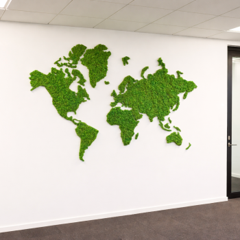 Verdenskort i mos til v�ggen