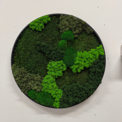 Mosbillede i mosmix 013