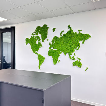 Verdenskort til vg i mos