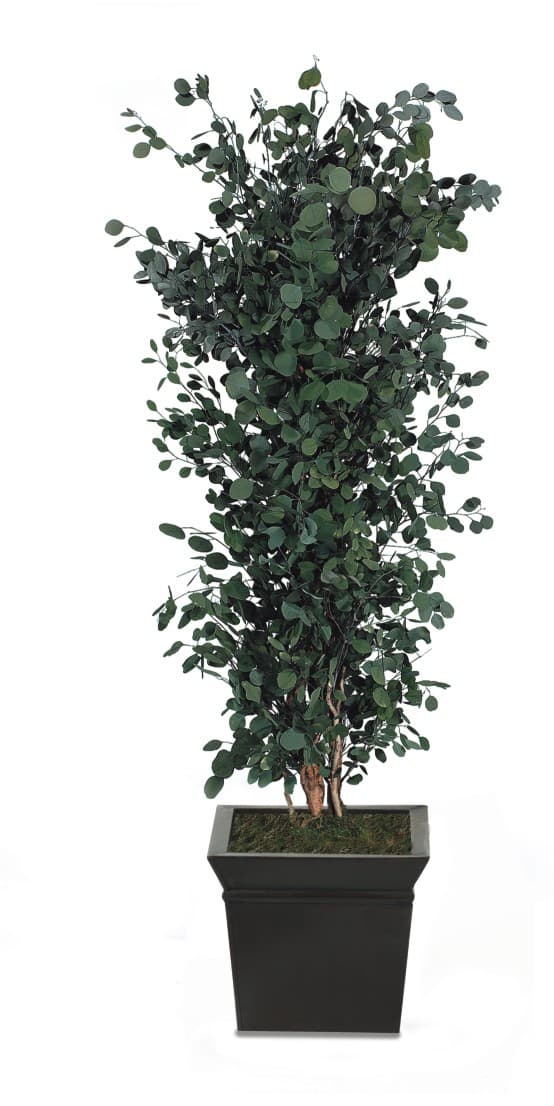 Populus - en moderne og vedligeholdelsesfri grn plante