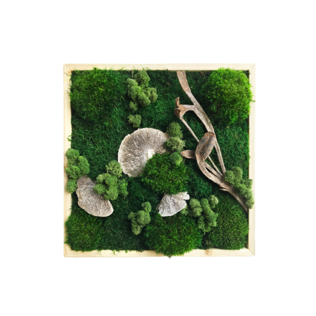 Mosvægge i mix med grene og svampe