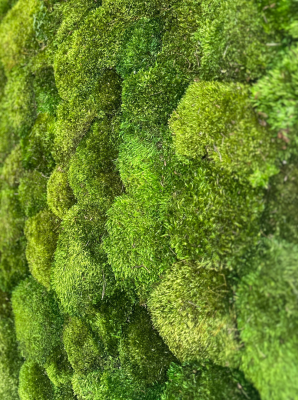 Provencemos