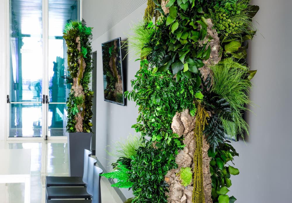 Store grønne kontorplanter