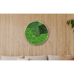 Mosbillede i mosmix 007 