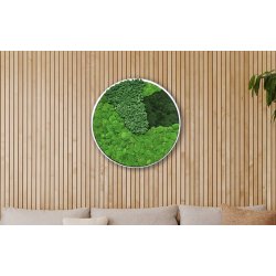 Mosbillede i mosmix 007 