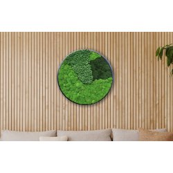 Mosbillede i mosmix 007 