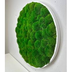 Mosbillede i pudemos