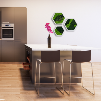 Hexagon trio i flad- og rensdyrmos 