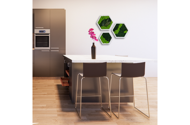Hexagon trio i flad- og rensdyrmos 