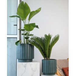 Emerald Facets