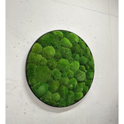 Mosbillede i pudemos