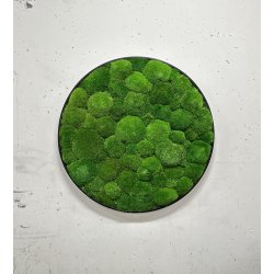 Mosbillede i pudemos