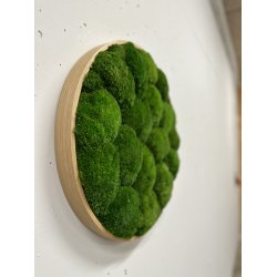 Mosbillede i pudemos