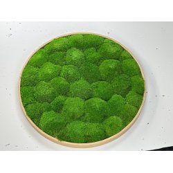 Mosbillede i pudemos