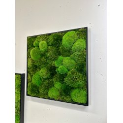 Mosbillede i mosmix 006