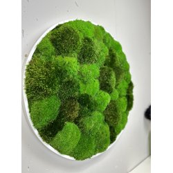 Mosbillede i mosmix 006