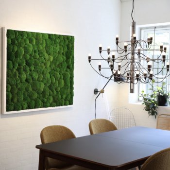 Mosbillede i Pudemos