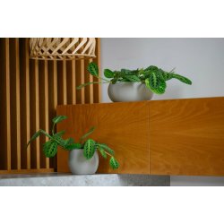 Tray light concrete