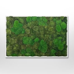 Mosbillede i mosmix 006