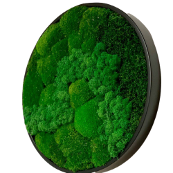 Mosbillede i mosmix 007 