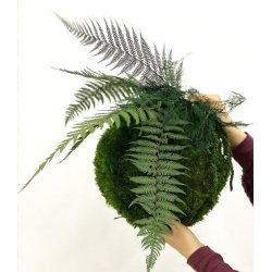 Moskugle med planter