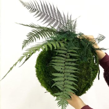 Moskugle med planter