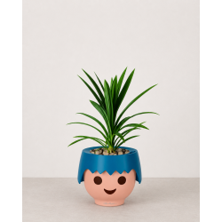 Ojo potte