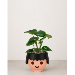 Ojo potte