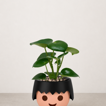 Ojo potte