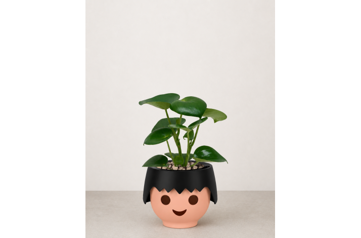 Ojo potte