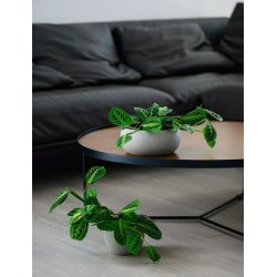Tray light concrete