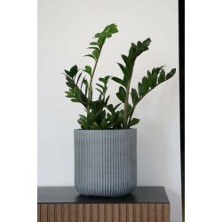Rustic Grey