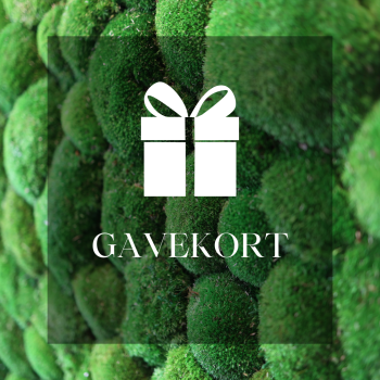 Gavekort