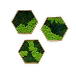 Hexagon trio i flad- og rensdyrmos 