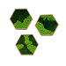 Eg