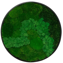 Mosbillede i mosmix 007 