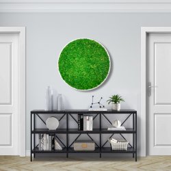 Mosbillede i rensdyrmos