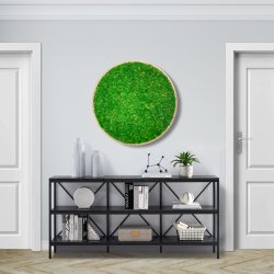 Mosbillede i rensdyrmos