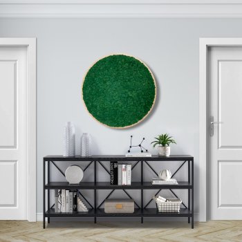 Mosbillede i rensdyrmos