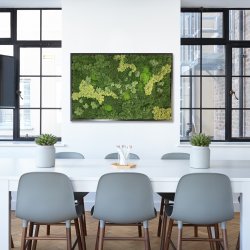 Mosbillede i mosmix 013