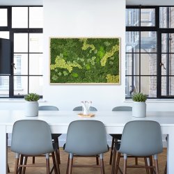 Mosbillede i mosmix 013